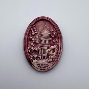Vintage Washington DC Capitol Souvenir Brooch Pin Pink Resin Cameo Style